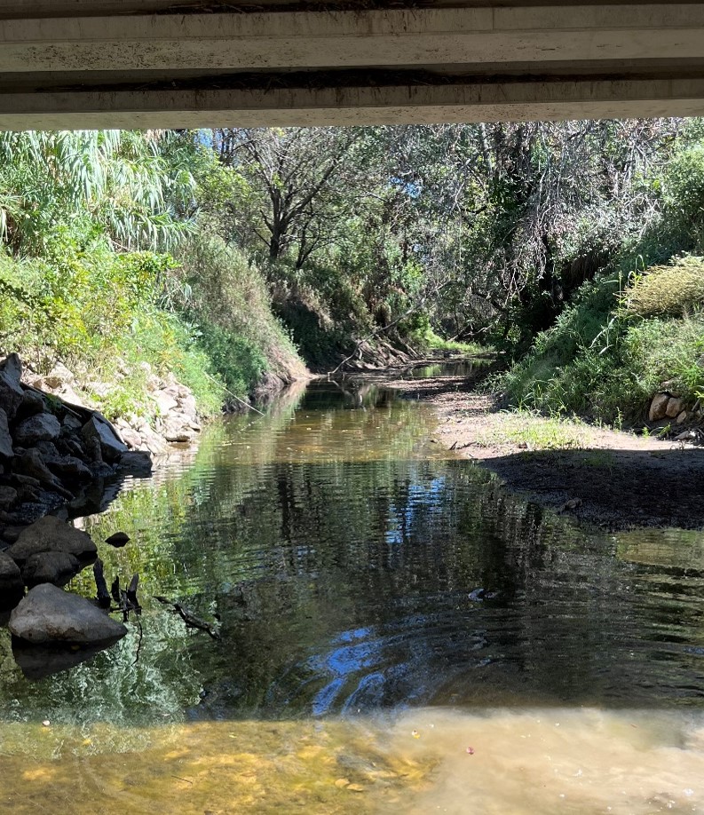 Figure 3. Tehuacana Creek below the bridge on Bays Road. Photo by Amanda Tague, September 2024.